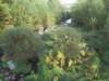 imgp5666small_small.jpg