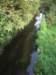 imgp5673small_small.jpg