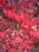imgp5688small_small.jpg
