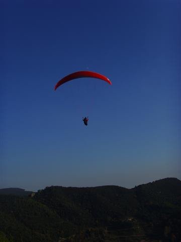 ssl25467small.jpg