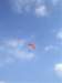 imgp8015small_small.jpg