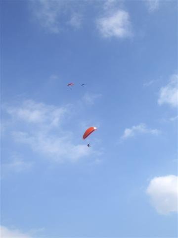 imgp8016small.jpg