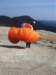 imgp8978small_small.jpg