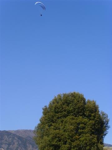 ssl28277small.jpg