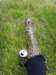 ssl20676small_small.jpg