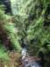 imgp5184small_small.jpg