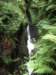 imgp5185small_small.jpg