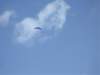 imgp5705small_small.jpg