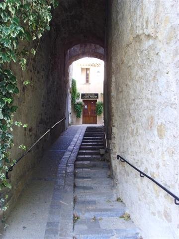 ssl21539small.jpg