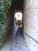 ssl21539small_small.jpg