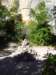 ssl21553small_small.jpg