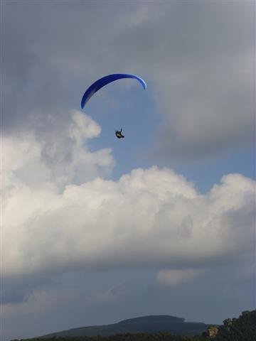 ssl23639small.jpg