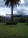 imgp6296small_small.jpg