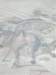 imgp6299small_small.jpg