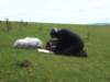 imgp4804small_small.jpg