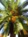 ssl22880small_small.jpg