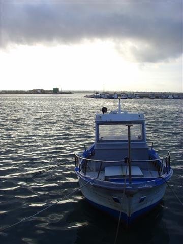 ssl24119small.jpg