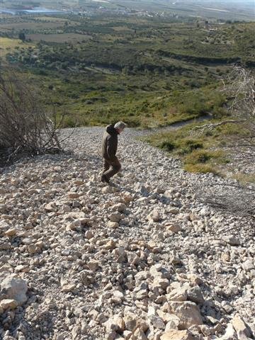 p1070898small.jpg