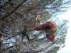 imgp9067small_small.jpg