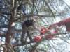 imgp9073small_small.jpg