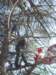 imgp9074small_small.jpg