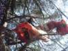imgp9075small_small.jpg
