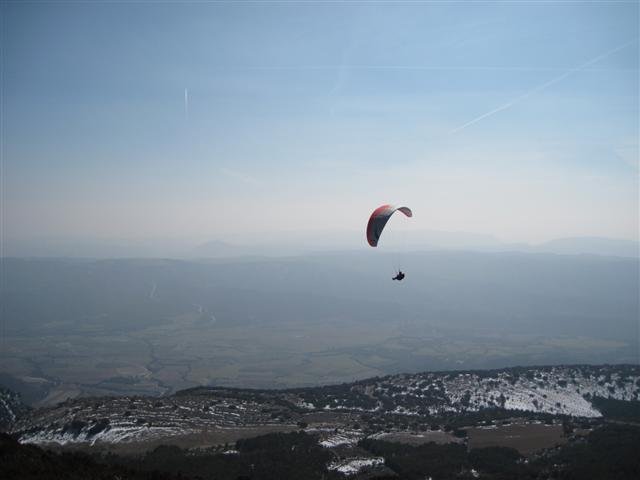 img_8298small.jpg