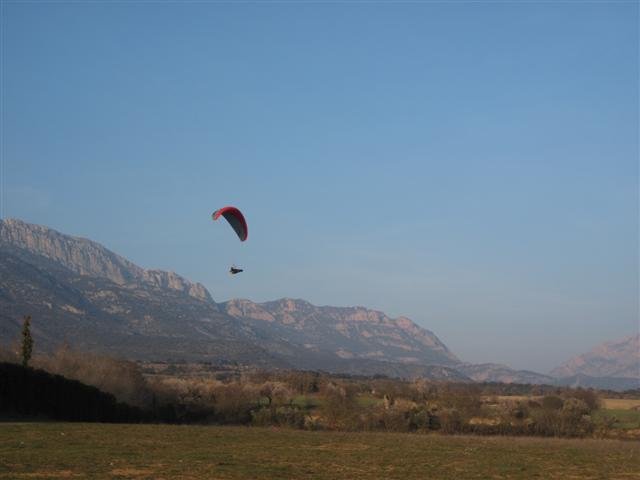 img_8437small.jpg