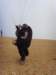 ssl23787small_small.jpg