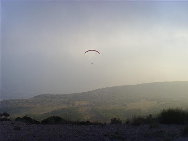 ssl23814small.jpg