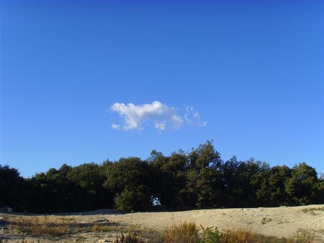 ssl25114small.jpg