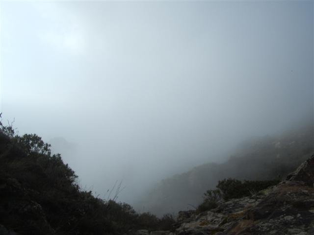 imgp7492small.jpg