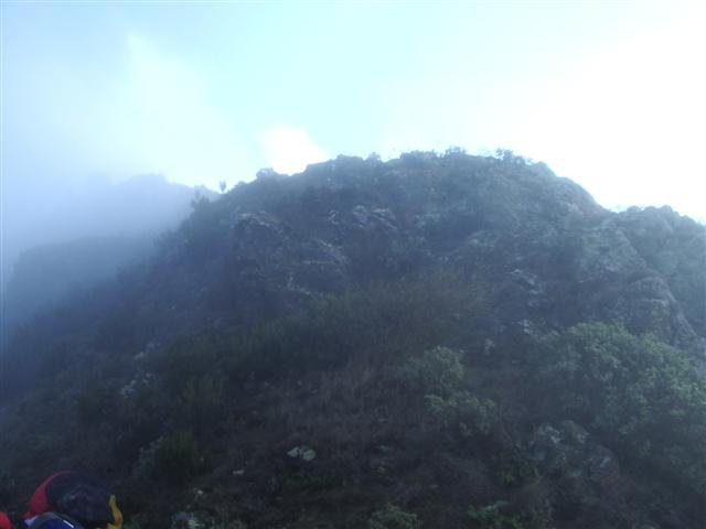 imgp7497small.jpg