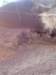 imgp5780small_small.jpg