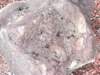 imgp5784small_small.jpg