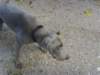 ssl23845small_small.jpg