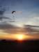 imgp7623small_small.jpg