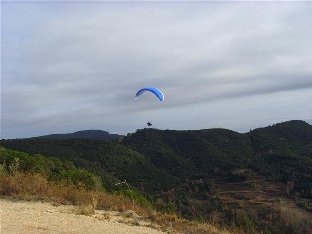 ssl25345small.jpg