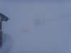 ssl27062small_small.jpg