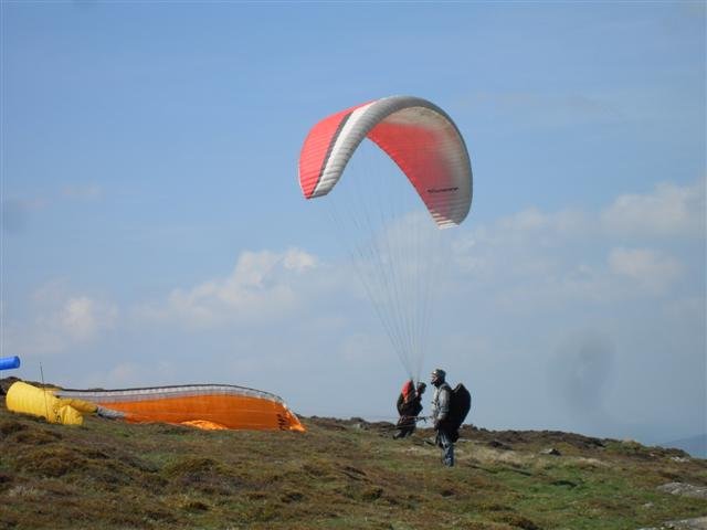 sdc11088small.jpg