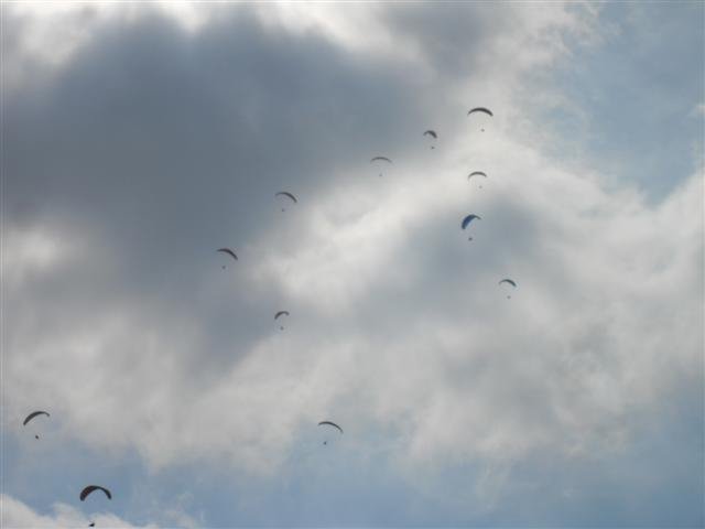sdc11101small.jpg