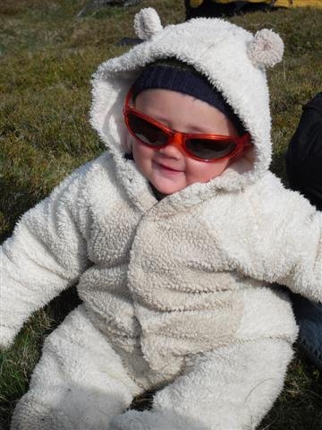 sdc11117small.jpg