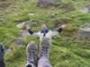 sdc11120small_small.jpg
