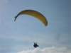 sdc11131small_small.jpg