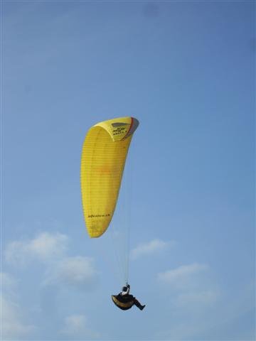 sdc11133small.jpg