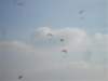 sdc11141small_small.jpg