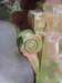 ssl21079small_small.jpg