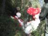 imgp5844small_small.jpg