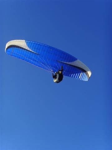 ssl23979small.jpg