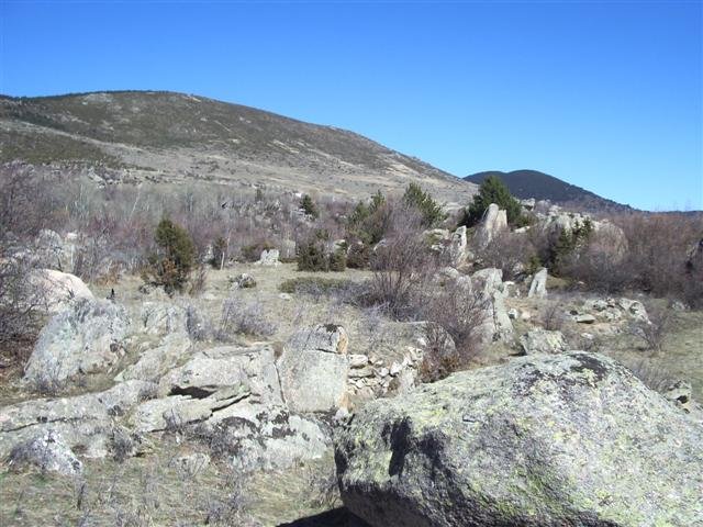 imgp1825small.jpg